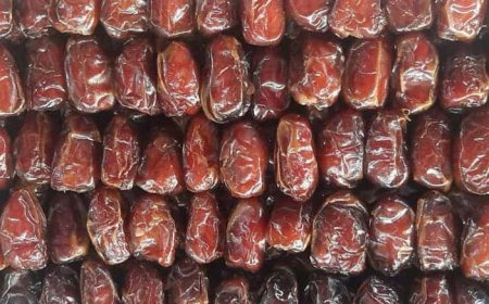 خرمای کبکاب