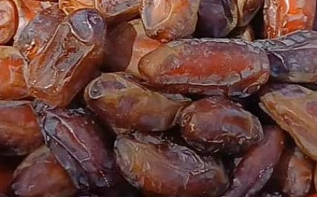 کاملترین خوراکی . آب و خرما